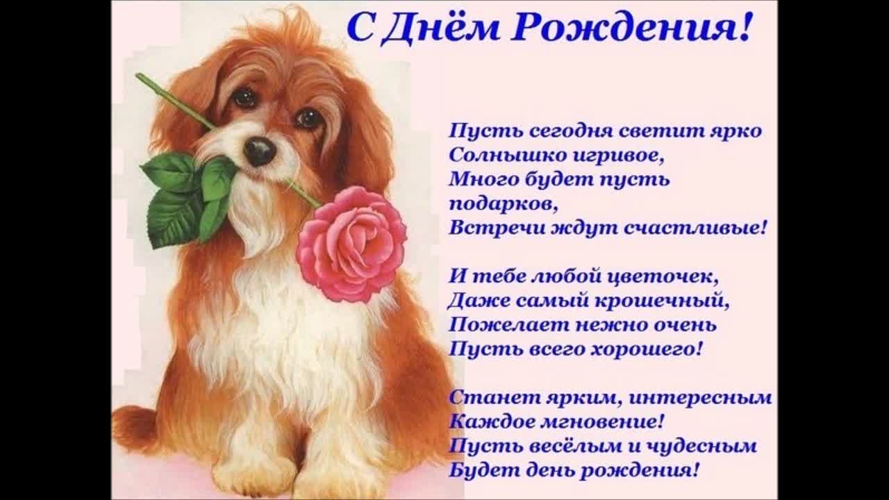 С днем рождения однокласснице красивые поздравления открытки С днем рождения однокласснице красивые поздравления открытки