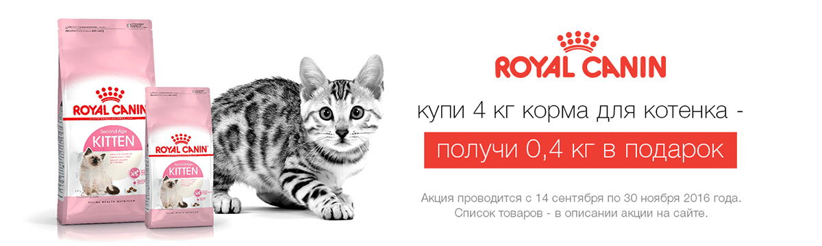 Котенок корм в подарок 776
