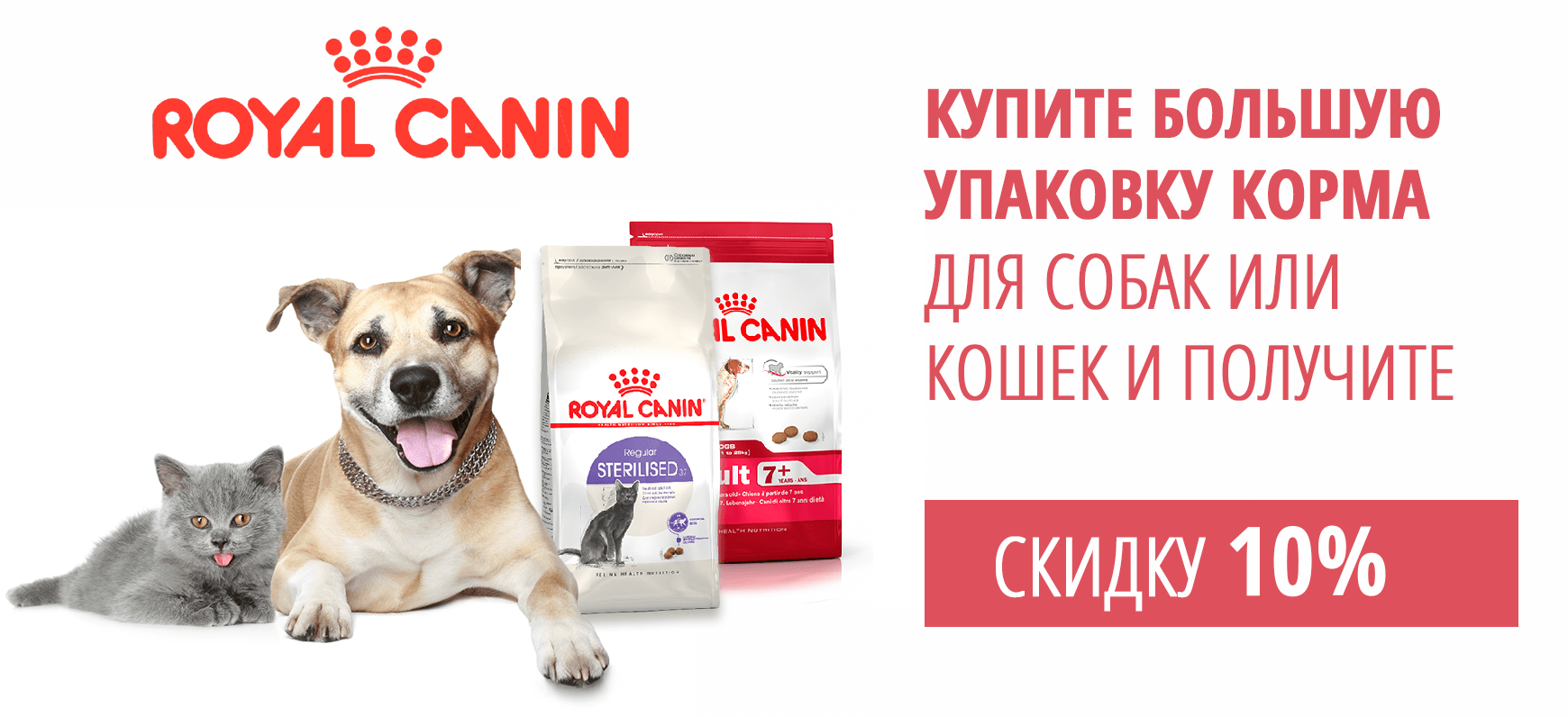Получи подарок для щенка 42