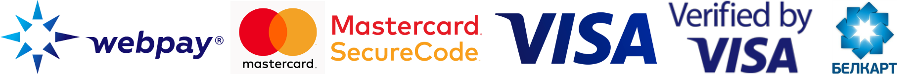 logo1