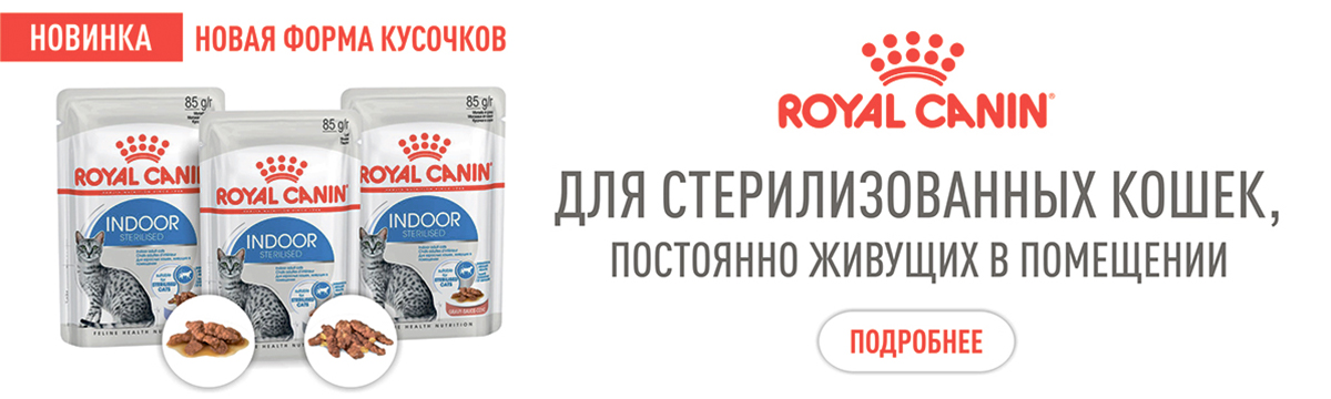 Зоогастроном Ру Интернет Магазин Кормов