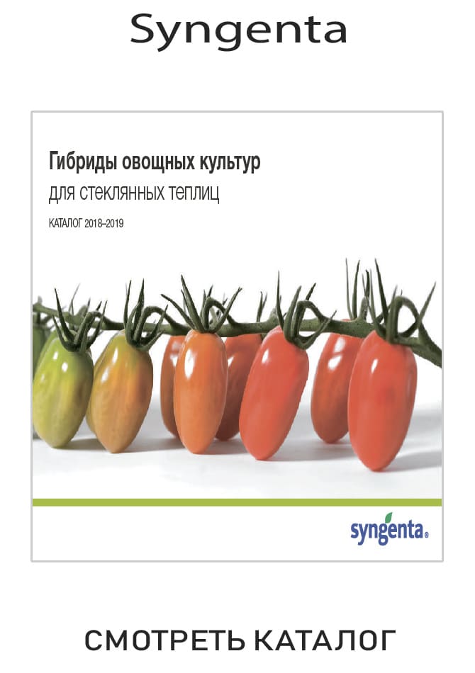 Официальные каталоги производителей семян в профупаковке - АГРООПТ