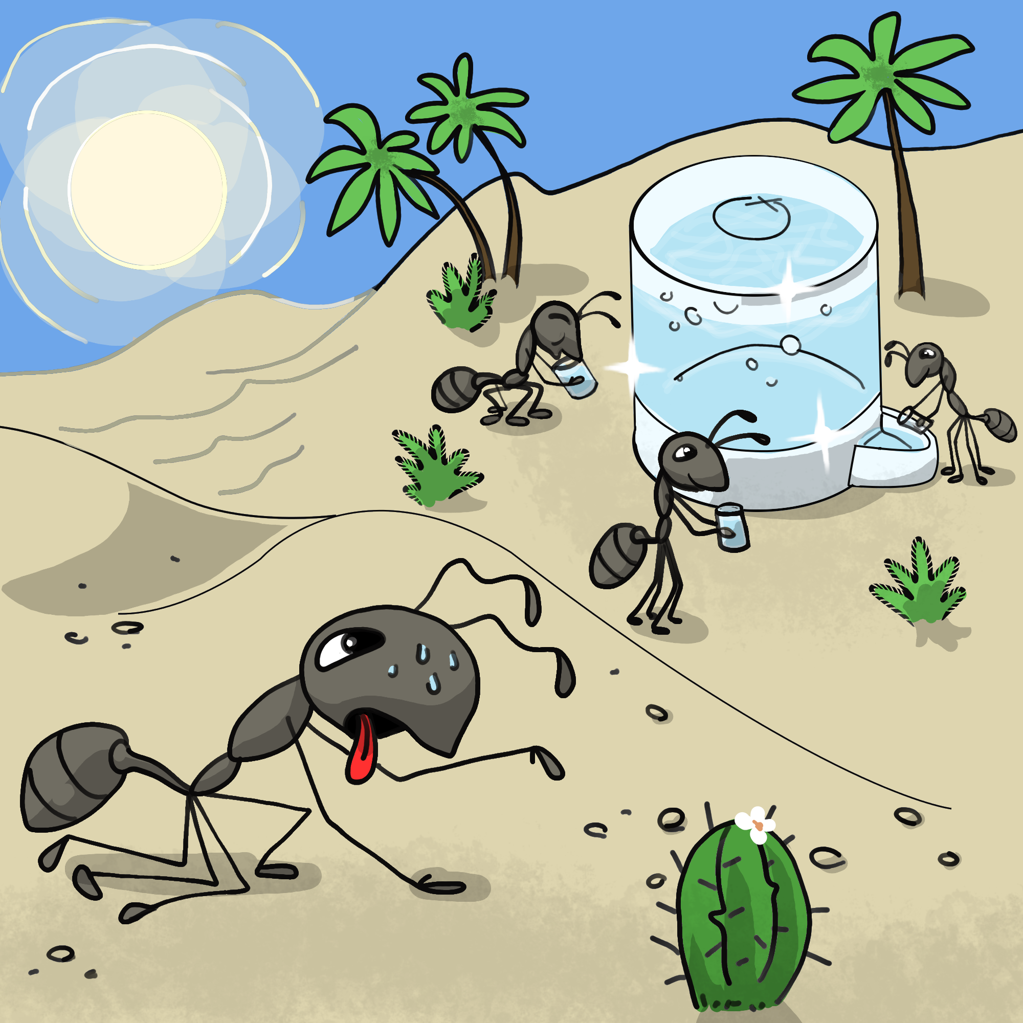 Как выращивать муравьев в домашних условиях?