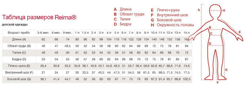 Размер штанов на год