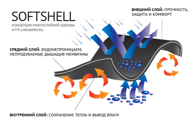 softshell.PNG