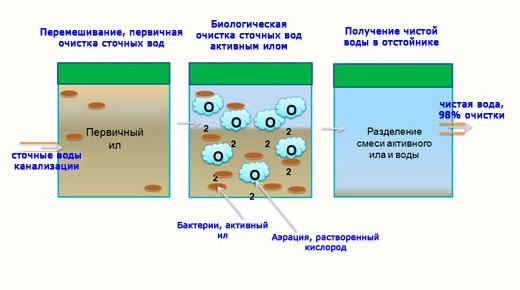 Сточных Сточных