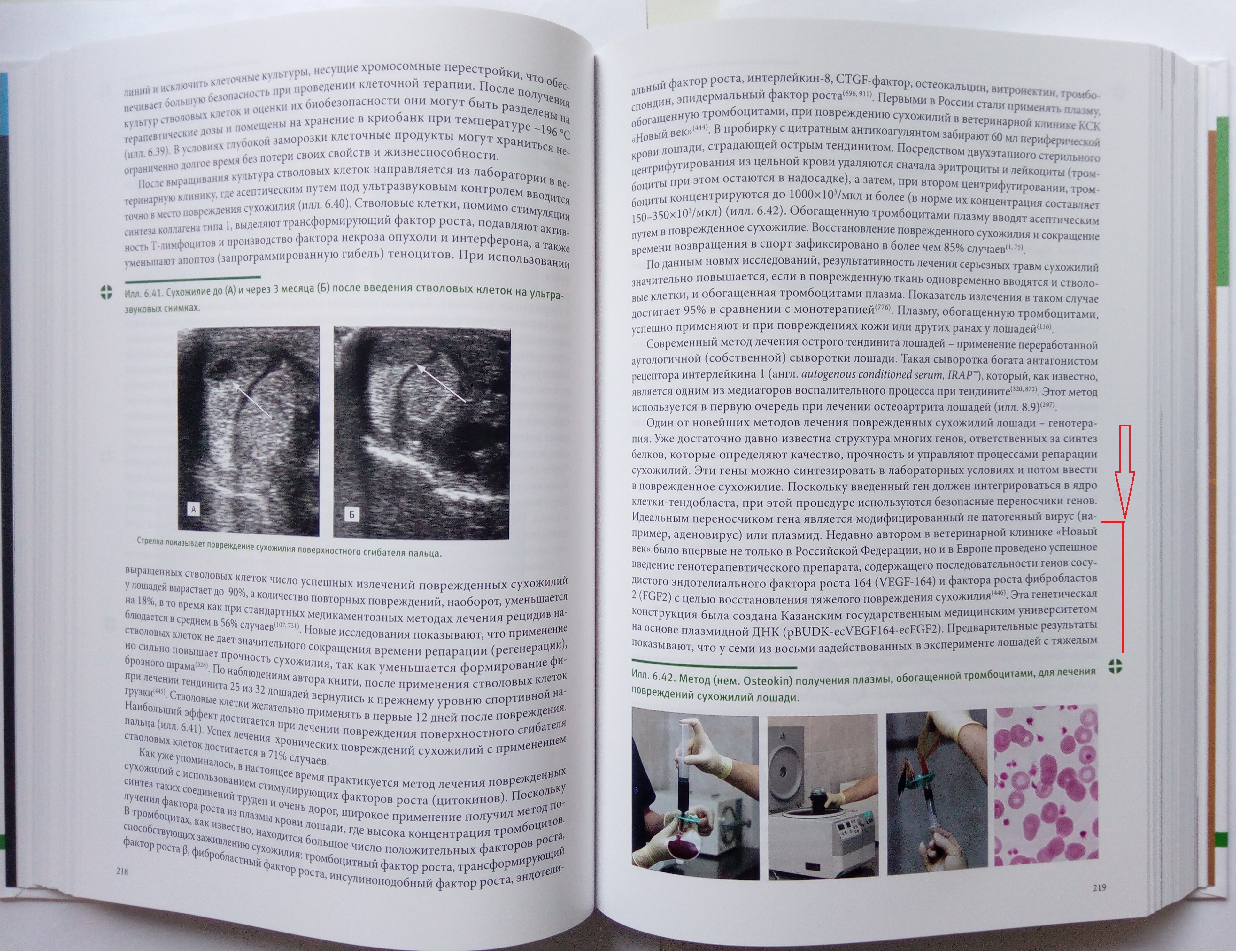 Ковач Ортопедические Заболевания Лошадей