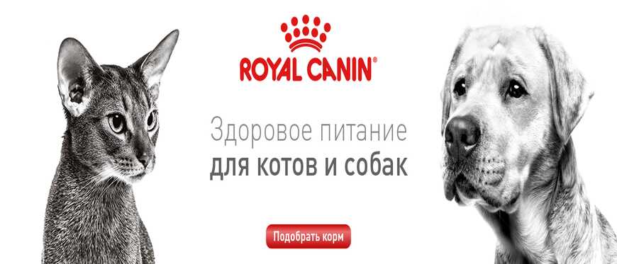 Интернет-Зоомагазин Хрустик корма для ваших питомцев | xpyctuk.com