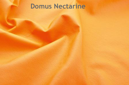 Domus Nectarine Домострой