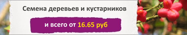 Купить семена Деревьев и кустарников, цена низкая, доставка почтой наложенным платежом по России, курьером по Москве - интернет-магазин АгроБум Купить семена Деревьев и кустарников, цена низкая, доставка почтой наложенным платежом по России, курьером по Москве - интернет-магазин АгроБум