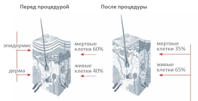 Знімок_екрана_2015-12-08_12.05.59.jpg