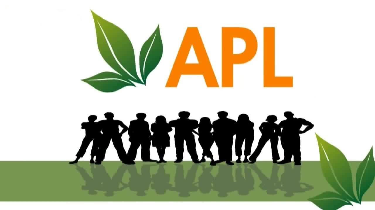 Сайт aplgo com. APLGO логотип. APL компания. Бизнес APL. Pl.