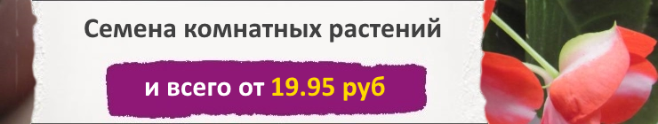 Купить семена комнатных растений, по низкой цене, доставка почтой наложенным платежом по России, курьером по Москве - интернет-магазин АгроБум. Купить семена комнатных растений, по низкой цене, доставка почтой наложенным платежом по России, курьером по Москве - интернет-магазин АгроБум.