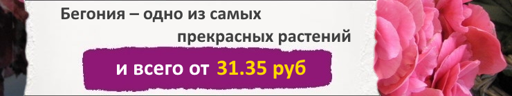 Купить семена Бегонии, цена низкая, доставка почтой наложенным платежом по России, курьером по Москве - интернет-магазин АгроБум Купить семена Бегонии, цена низкая, доставка почтой наложенным платежом по России, курьером по Москве - интернет-магазин АгроБум