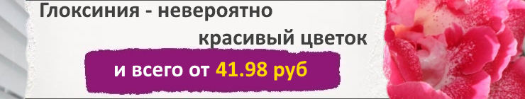 Купить Семена Глоксинии, цена низкая, доставка почтой наложенным платежом по России, курьером по Москве - интернет-магазин АгроБум Купить Семена Глоксинии, цена низкая, доставка почтой наложенным платежом по России, курьером по Москве - интернет-магазин АгроБум