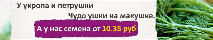 Купить семена Зелени и пряных трав, по низким ценам, с доставкой Почтой России наложенным платежом, и курьером по Москве - в магазине АгроБум Купить семена Зелени и пряных трав, по низким ценам, с доставкой Почтой России наложенным платежом, и курьером по Москве - в магазине АгроБум