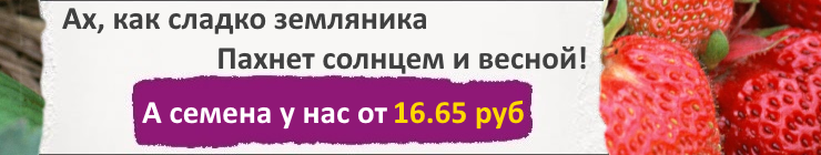 Купить семена Ягодные культуры, цена низкая, доставка почтой наложенным платежом по России, курьером по Москве - интернет-магазин АгроБум. Купить семена Ягодные культуры, цена низкая, доставка почтой наложенным платежом по России, курьером по Москве - интернет-магазин АгроБум.