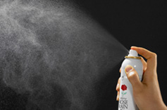 mist_img_02_1.jpg