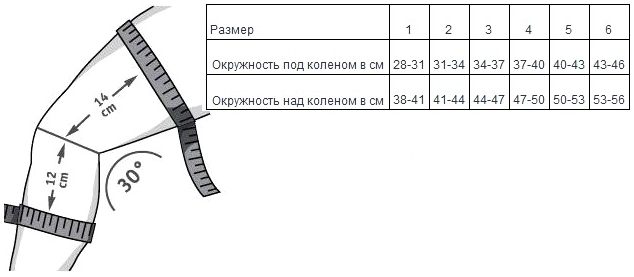 размеры genutrain s.png размеры genutrain s.png