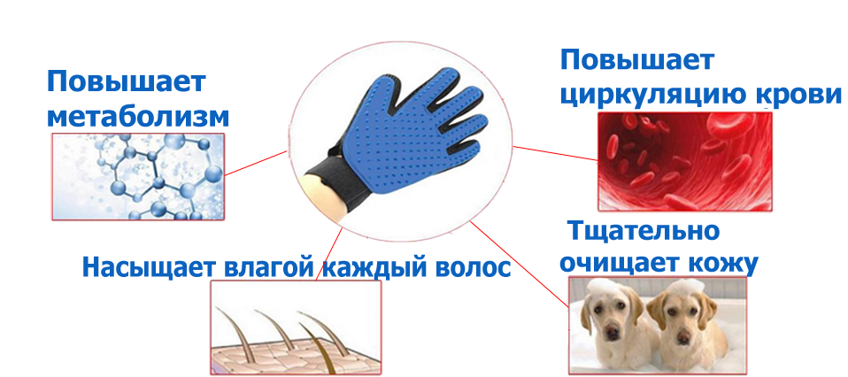 Рукавичка для вичісування шерсті домашніх тварин Тру Тач - True Touch