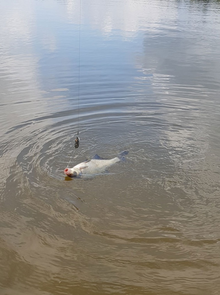 Удилища Feeder Concept Distance