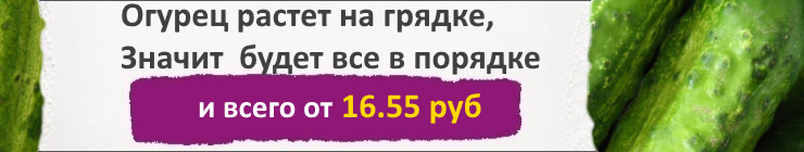Купить семена Огурцов, цена низкая, доставка почтой наложенным платежом по России, курьером по Москве - интернет-магазин АгроБум