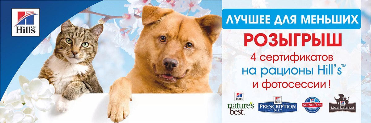 Лучшее для меньших Лучшее для меньших