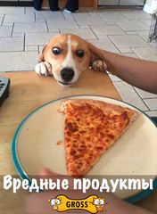 Вредные продукты со стола, какие?