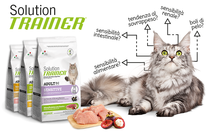 Новая линейка Trainer для кошек