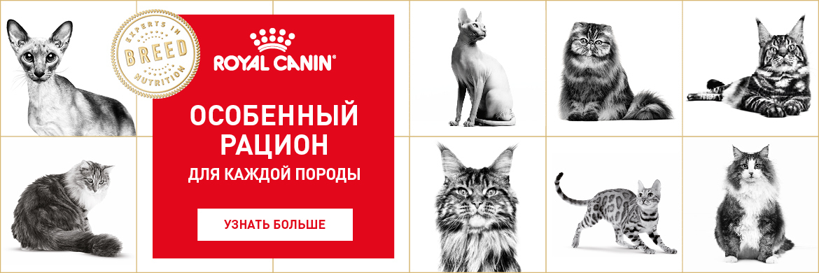 Royal Canin Кошки Акция с 09.10.2017 *цена за товар указана с учетом данной акции, те вы получаете 25% бесплатно. Royal Canin Кошки Акция с 09.10.2017 *цена за товар указана с учетом данной акции, те вы получаете 25% бесплатно.