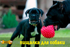 Любимая пищалка собаки сводит Вас с ума? Идите в ногу со временем!