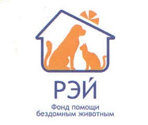 Письмо из Благотворительного фонда помощи бездомным животным «РЭЙ» Письмо из Благотворительного фонда помощи бездомным животным «РЭЙ»