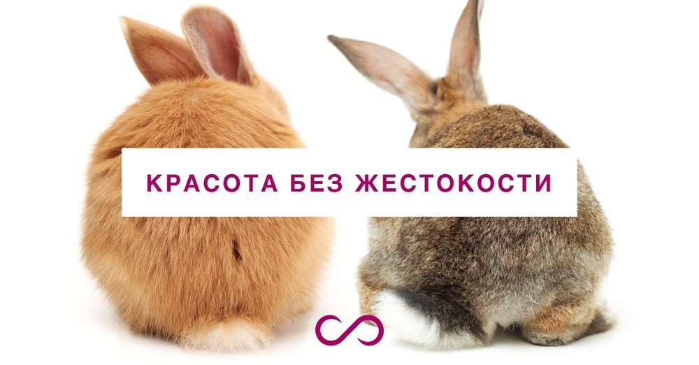 Вместе мы сделаем этот мир добрее! Вместе мы сделаем этот мир добрее!