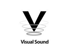 Новинки в нашем магазине. Обзор педалей эффектов Visual Sound!