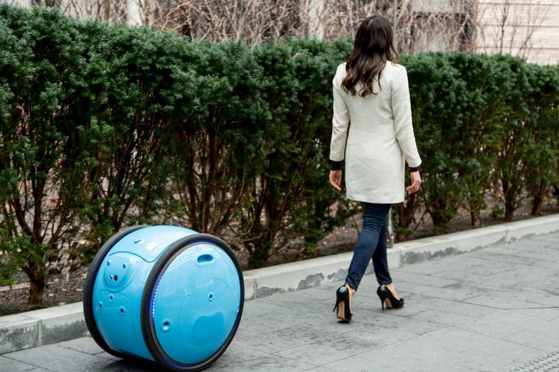 Робот Gita для перевозки багажа от производителя скутеров Vespa Робот Gita для перевозки багажа от производителя скутеров Vespa