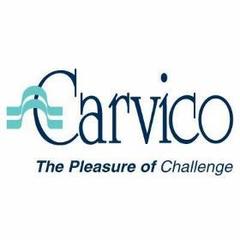 Ткань CARVICO