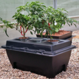 Системы DWC - Oxy Pot от Nutriculture