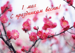 Поздравляем с днем весны и труда!