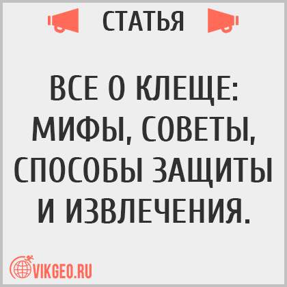 Все о клеще: мифы, советы, способы защиты и извлечения, блог VikGeo Все о клеще: мифы, советы, способы защиты и извлечения, блог VikGeo