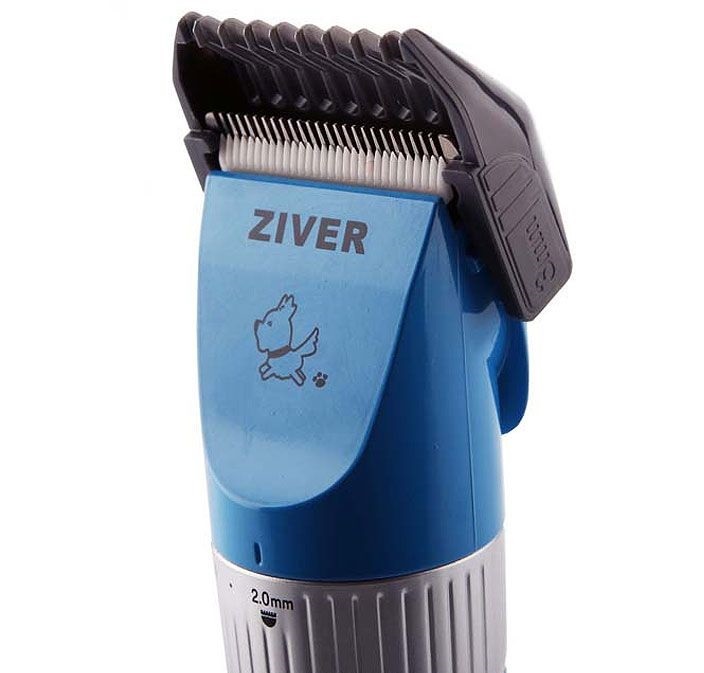 Машинки Ziver поступили в продажу Машинки Ziver поступили в продажу