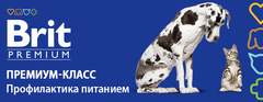 Изменение состава и упаковки Brit Premium