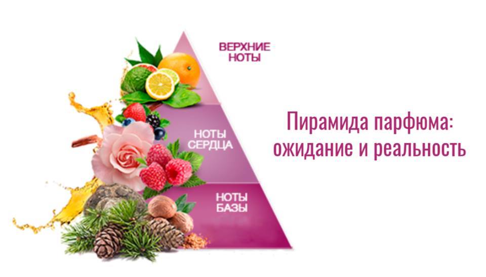 Пирамида парфюма Пирамида парфюма