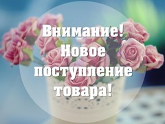 Новое поступление!
