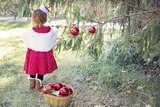 Новогодние хлопоты приятнее с Granted Crown Universal!