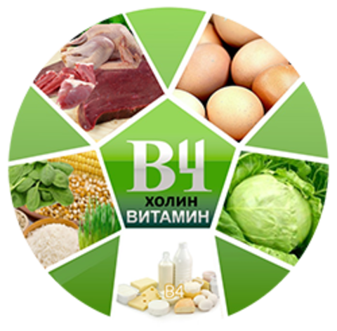 Витамин B 4