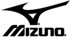 mizuno wave ekiden 10 birch