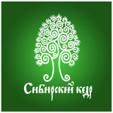 Сибирский Кедр