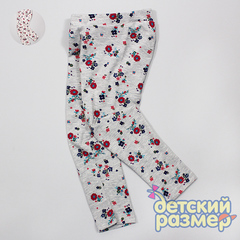 Лосины