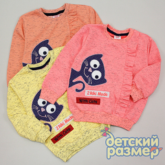 Свитшот
