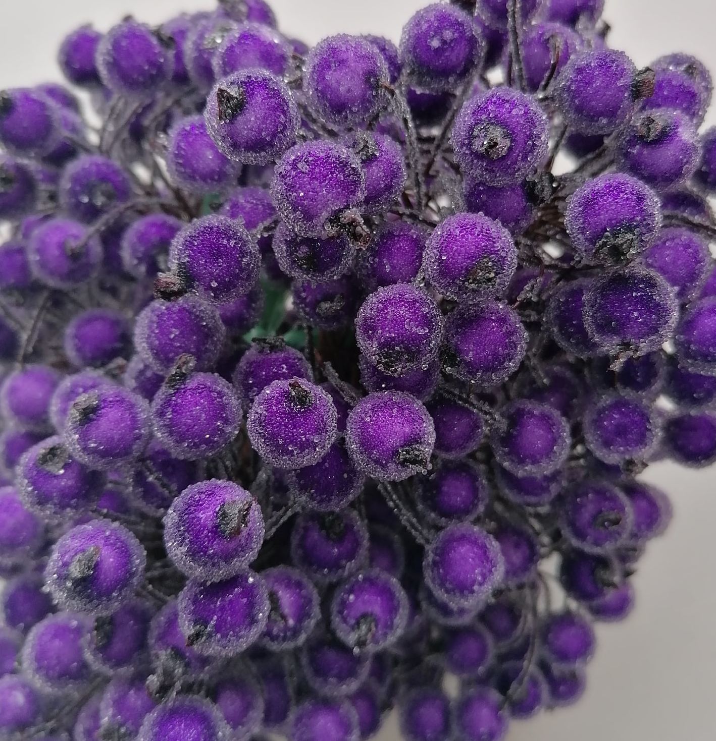 длинненькие ягодки фиолетовые